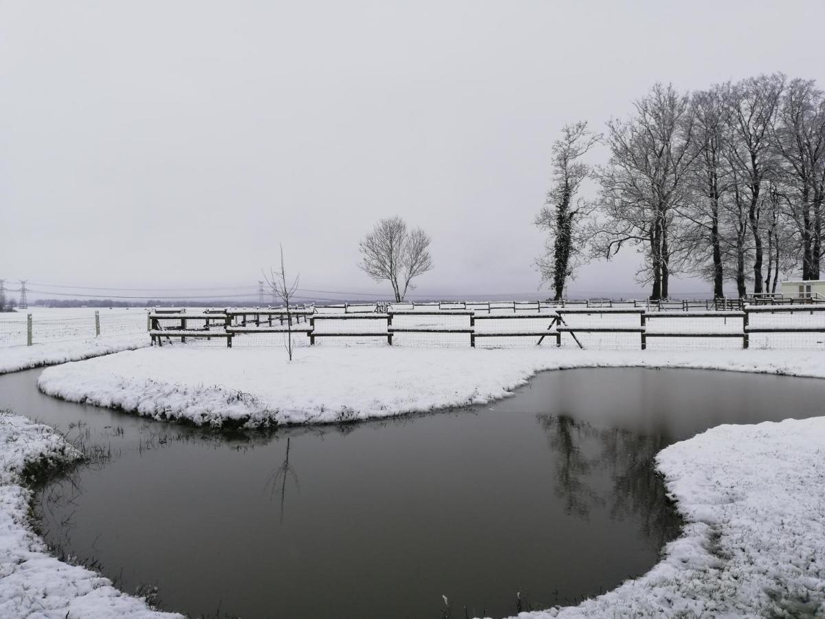 Pulilane Hotel Le Torp-Mesnil Bagian luar foto